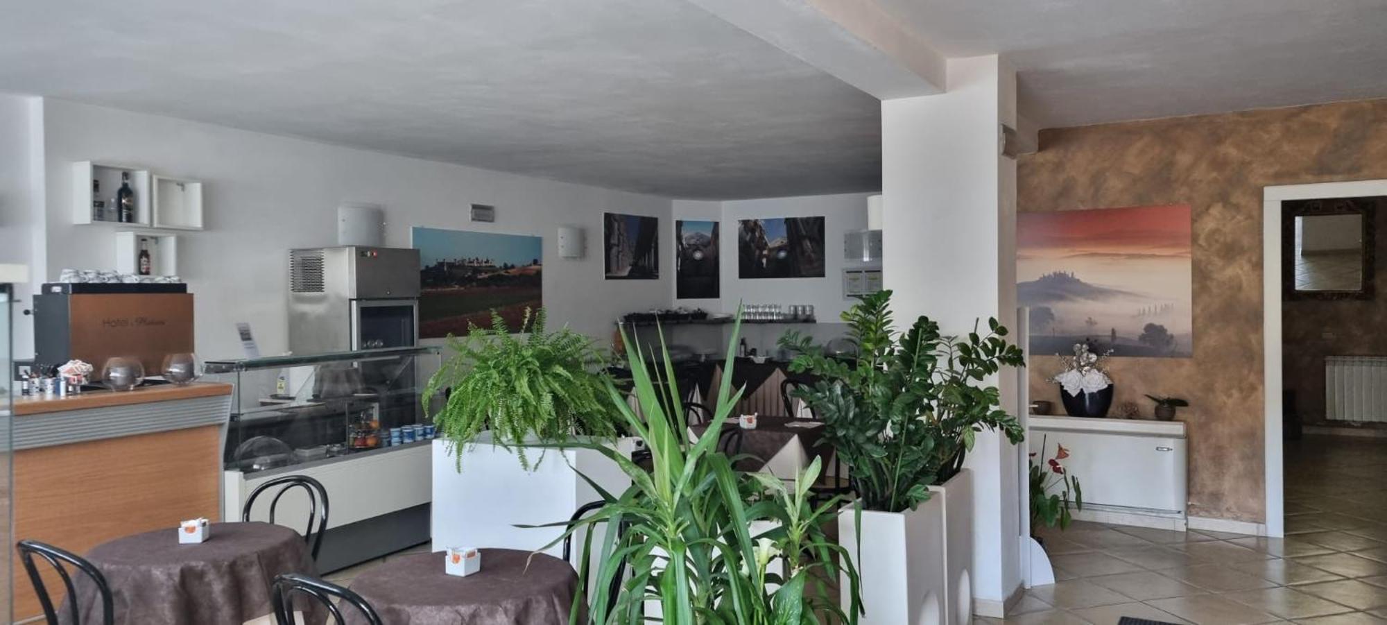 Hotel I Platani Siena Ngoại thất bức ảnh